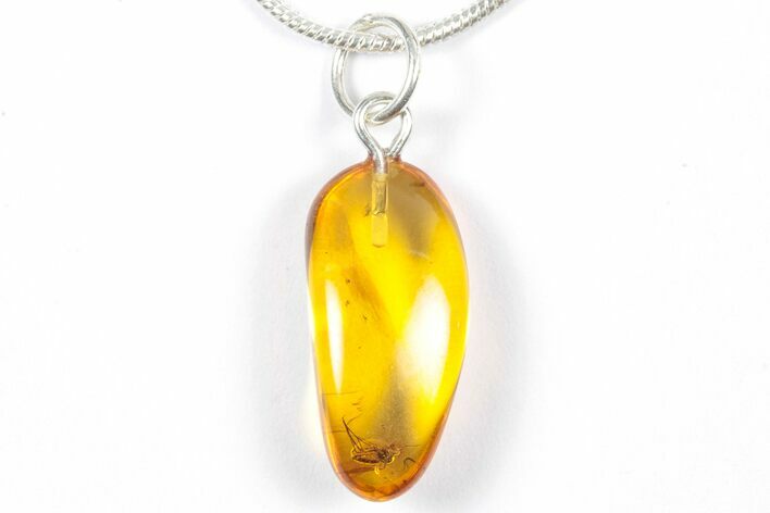 Polished Baltic Amber Pendant (Necklace) - Contains Fly! #357921